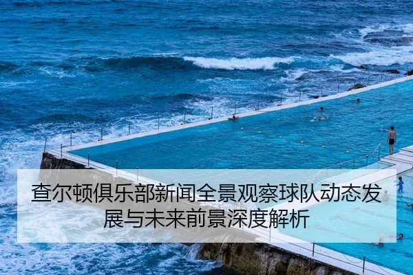 查尔顿俱乐部新闻全景观察球队动态发展与未来前景深度解析