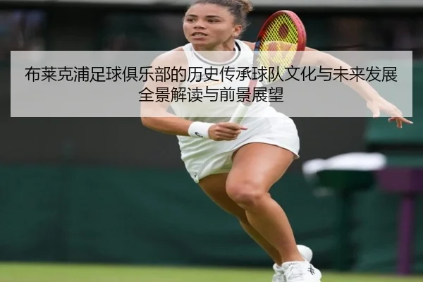 布莱克浦足球俱乐部的历史传承球队文化与未来发展全景解读与前景展望